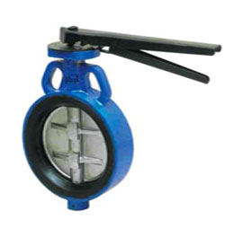 butterfly-valve1