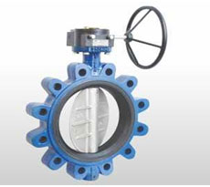 butterfly-valve4